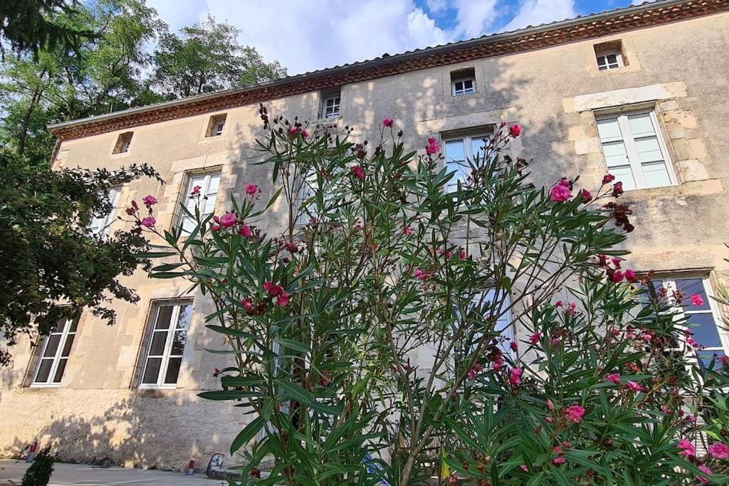 Les Hauts De St Jacques Maison D'Exception 300M2, Jardin Arbore 2000M2 Pouzauges Eksteriør billede